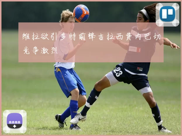 维拉欲引多特前锋吉拉西费内巴切竞争激烈